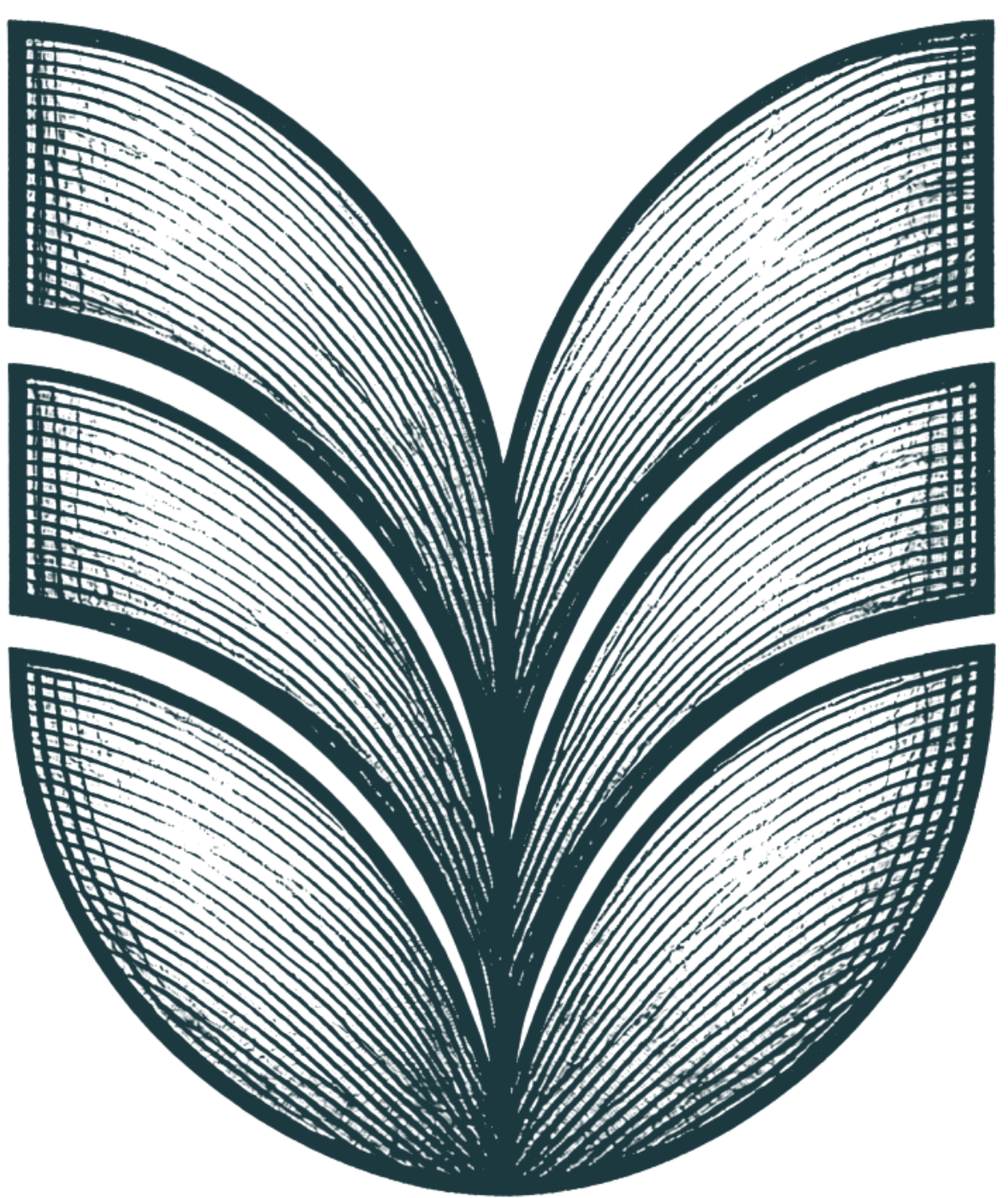 DMC Logo